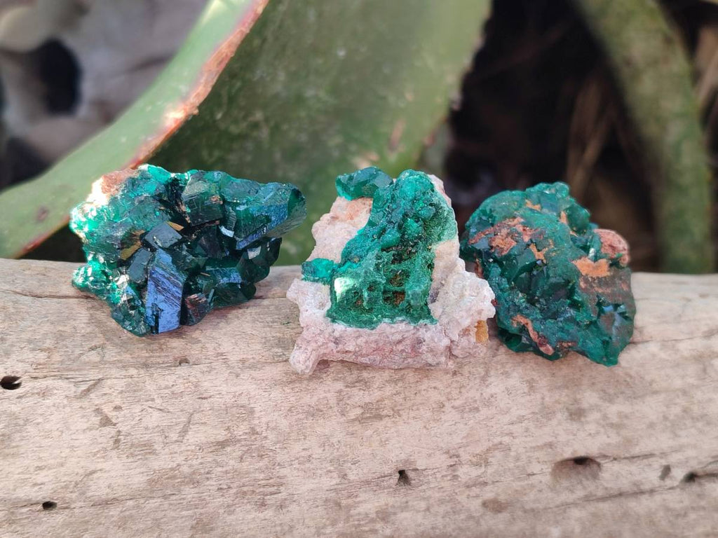 Natural Small Dioptase and Crystalline Malachite on Dolomite Matrix Specimens x 22 From Likasi, Congo - Toprock Gemstones and Minerals 