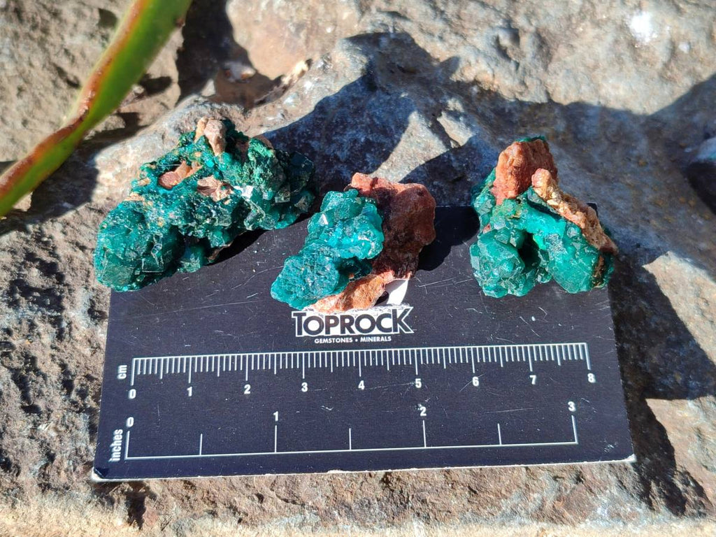 Natural Small Dioptase and Crystalline Malachite on Dolomite Matrix Specimens x 22 From Likasi, Congo - Toprock Gemstones and Minerals 
