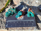 Natural Small Dioptase and Crystalline Malachite on Dolomite Matrix Specimens x 22 From Likasi, Congo - Toprock Gemstones and Minerals 