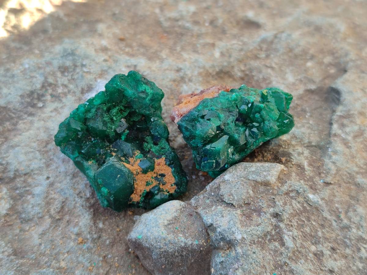 Natural Small Dioptase and Crystalline Malachite on Dolomite Matrix Specimens x 22 From Likasi, Congo - Toprock Gemstones and Minerals 
