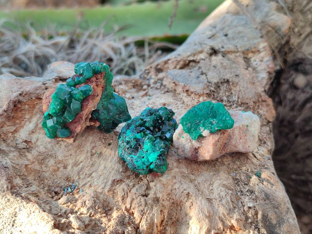 Natural Small Dioptase and Crystalline Malachite on Dolomite Matrix Specimens x 22 From Likasi, Congo - Toprock Gemstones and Minerals 