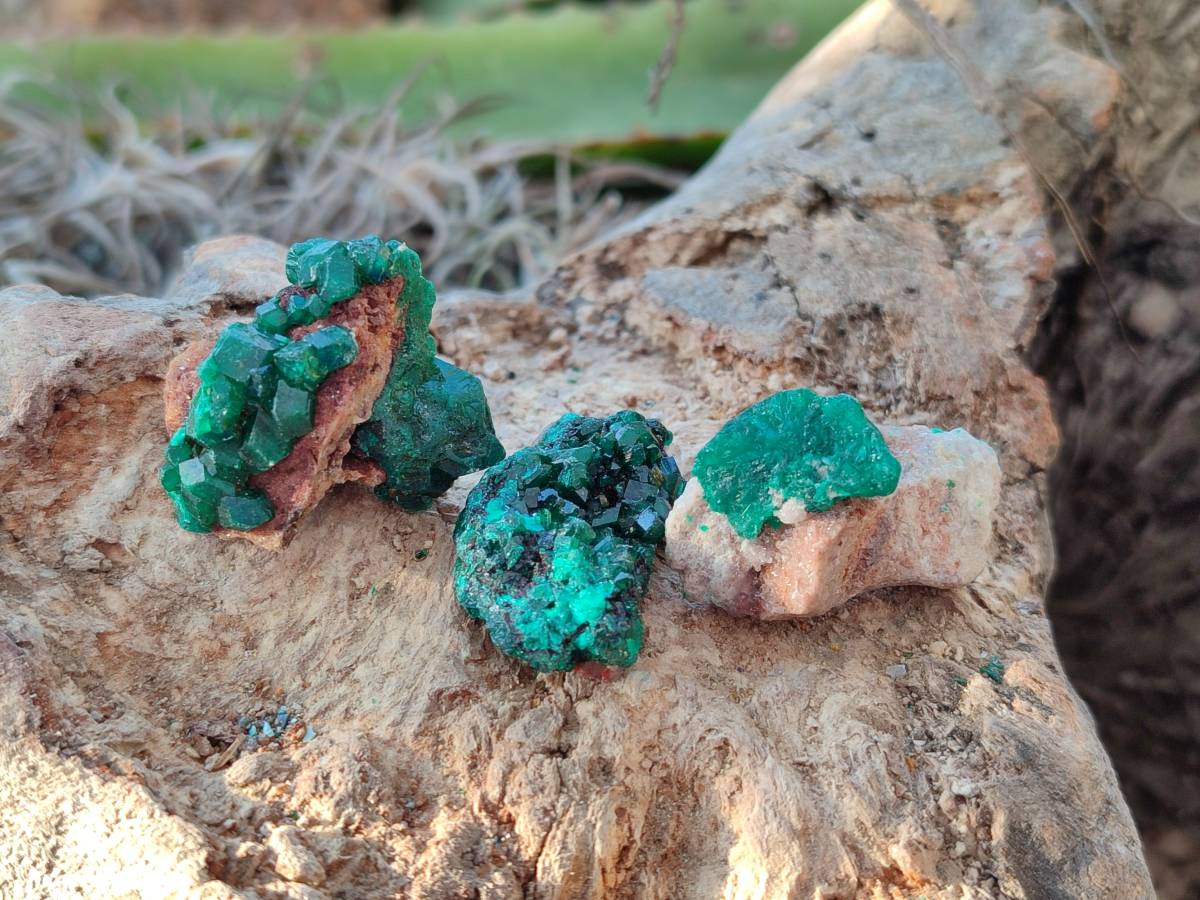 Natural Small Dioptase and Crystalline Malachite on Dolomite Matrix Specimens x 22 From Likasi, Congo - Toprock Gemstones and Minerals 