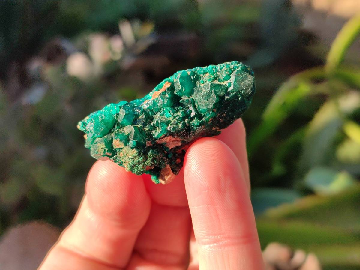 Natural Small Dioptase and Crystalline Malachite on Dolomite Matrix Specimens x 22 From Likasi, Congo - Toprock Gemstones and Minerals 