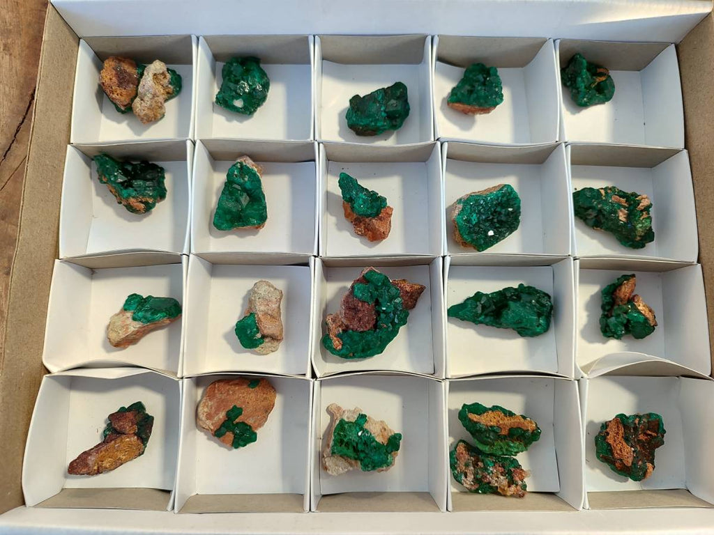 Natural Small Dioptase and Crystalline Malachite on Dolomite Matrix Specimens x 22 From Likasi, Congo - Toprock Gemstones and Minerals 