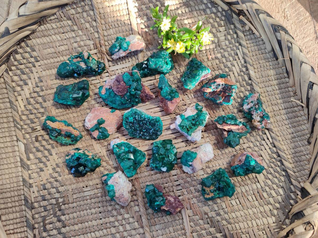 Natural Small Dioptase and Crystalline Malachite on Dolomite Matrix Specimens x 22 From Likasi, Congo - Toprock Gemstones and Minerals 