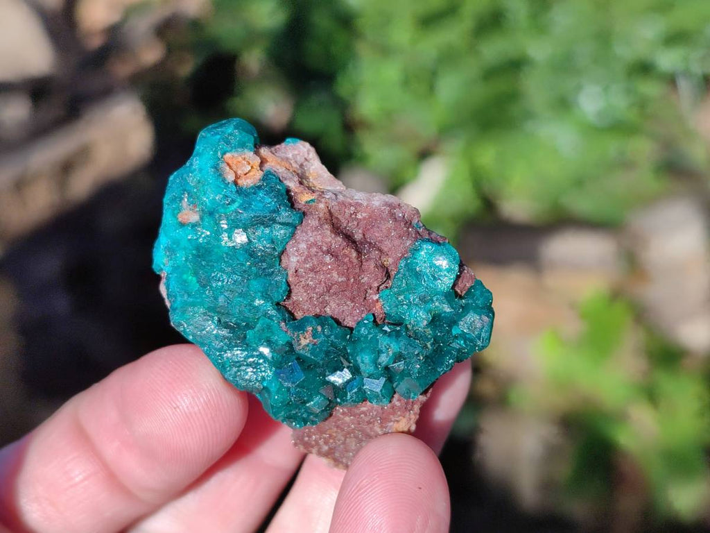 Natural Small Dioptase and Crystalline Malachite on Dolomite Matrix Specimens x 22 From Likasi, Congo - Toprock Gemstones and Minerals 