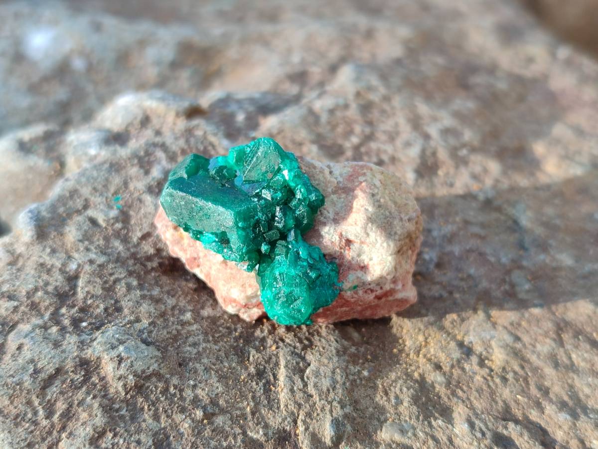 Natural Small Dioptase and Crystalline Malachite on Dolomite Matrix Specimens x 22 From Likasi, Congo - Toprock Gemstones and Minerals 