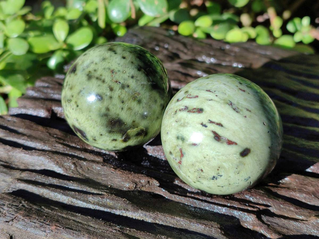 Polished Leopard Stone Spheres x 7 From Nyanga, Zimbabwe - Toprock Gemstones and Minerals 