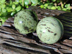 Polished Leopard Stone Spheres x 7 From Nyanga, Zimbabwe - Toprock Gemstones and Minerals 