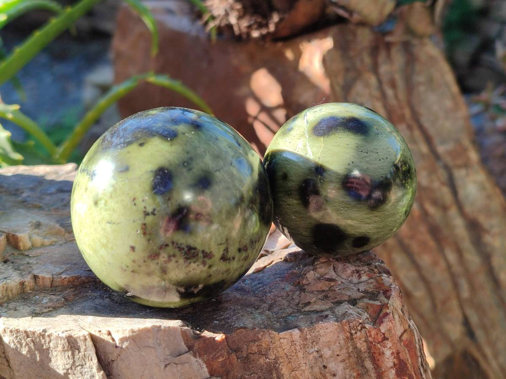 Polished Leopard Stone Spheres x 7 From Nyanga, Zimbabwe - Toprock Gemstones and Minerals 