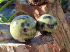 Polished Leopard Stone Spheres x 7 From Nyanga, Zimbabwe - Toprock Gemstones and Minerals 