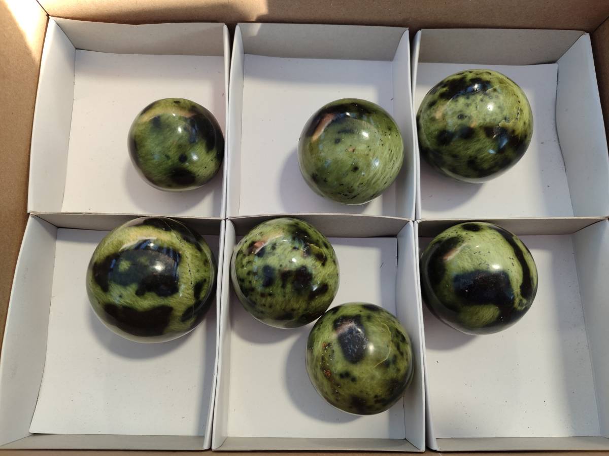 Polished Leopard Stone Spheres x 7 From Nyanga, Zimbabwe - Toprock Gemstones and Minerals 