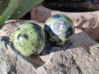 Polished Leopard Stone Spheres x 7 From Nyanga, Zimbabwe - Toprock Gemstones and Minerals 