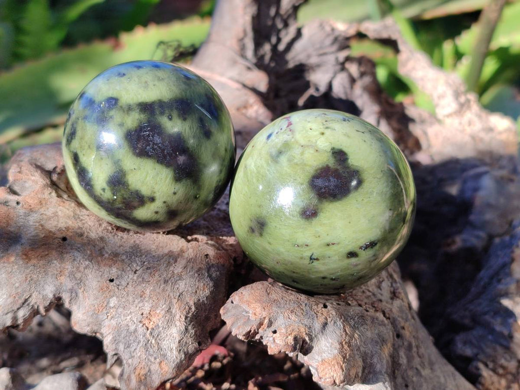Polished Leopard Stone Spheres x 7 From Nyanga, Zimbabwe - Toprock Gemstones and Minerals 