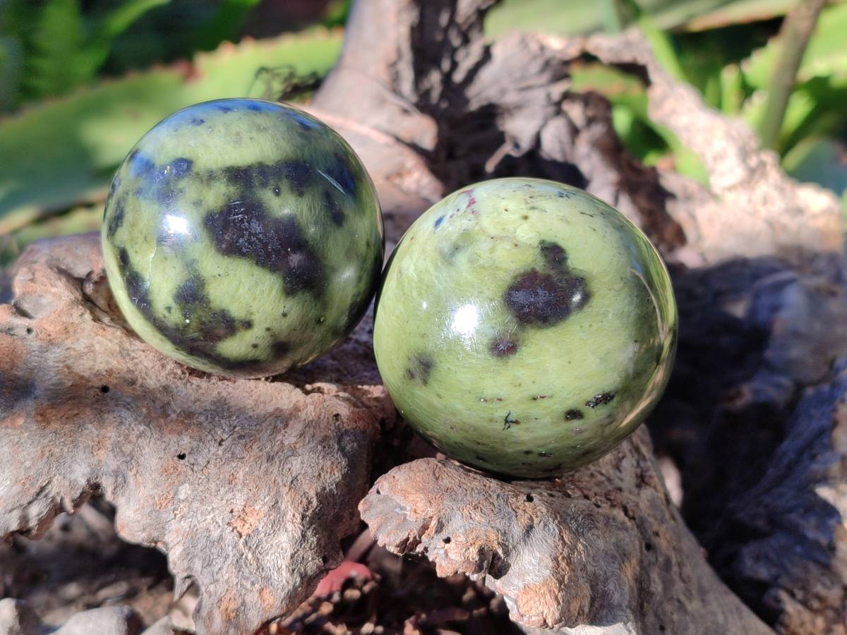 Polished Leopard Stone Spheres x 7 From Nyanga, Zimbabwe - Toprock Gemstones and Minerals 