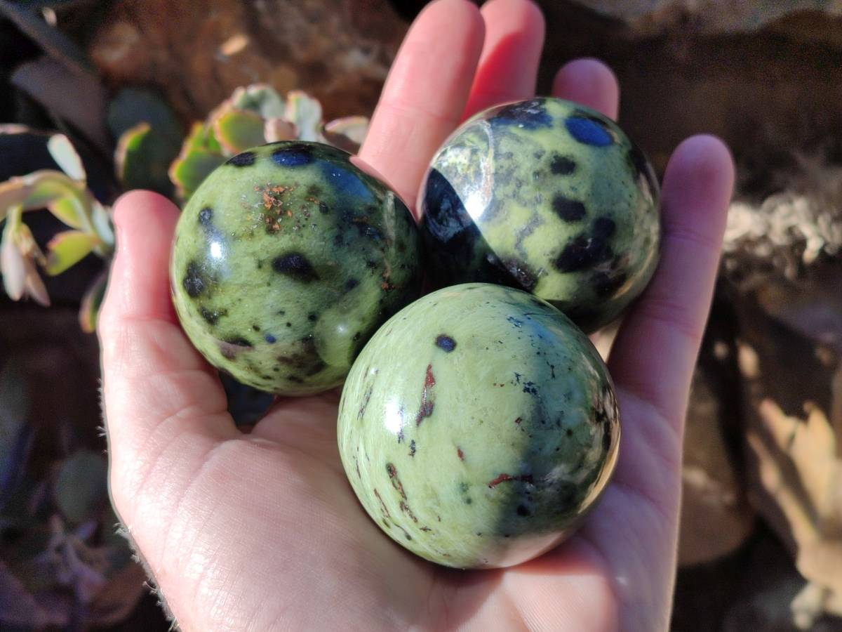 Polished Leopard Stone Spheres x 7 From Nyanga, Zimbabwe - Toprock Gemstones and Minerals 