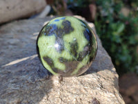 Polished Leopard Stone Spheres x 7 From Nyanga, Zimbabwe - Toprock Gemstones and Minerals 