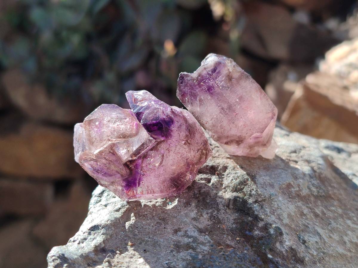 Natural Mixed Small Clusters and Single Crystals x 3.25 Kg Lot From Southern Africa - Toprock Gemstones and Minerals 