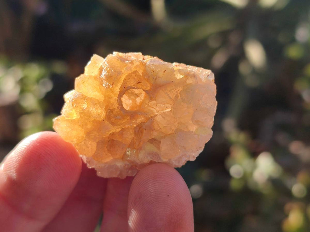 Natural Mixed Small Clusters and Single Crystals x 3.25 Kg Lot From Southern Africa - Toprock Gemstones and Minerals 