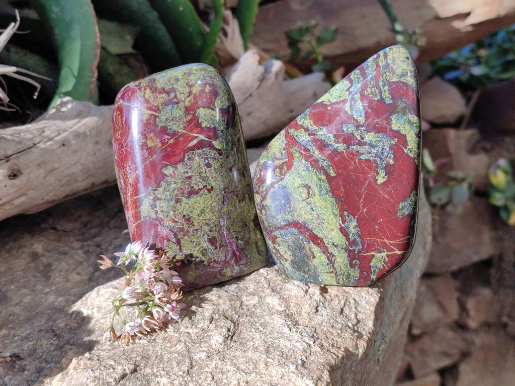 Polished Bastite Dragons Blood Stone Standing Free Forms x 2 From Tshipise, South Africa - Toprock Gemstones and Minerals 