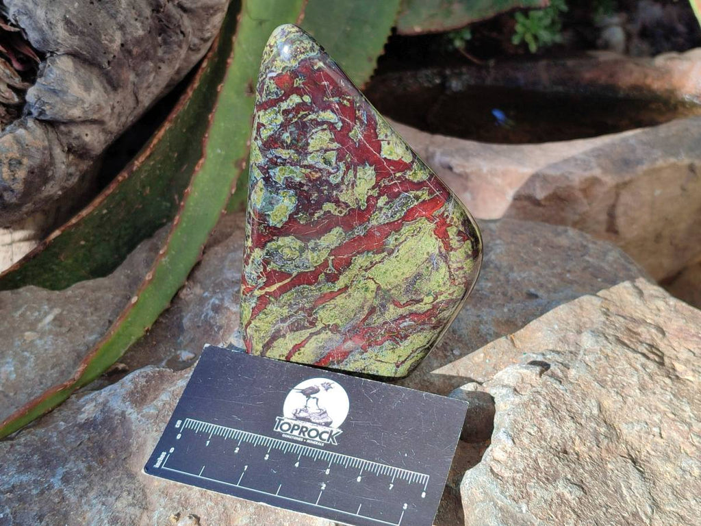 Polished Bastite Dragons Blood Stone Standing Free Forms x 2 From Tshipise, South Africa - Toprock Gemstones and Minerals 