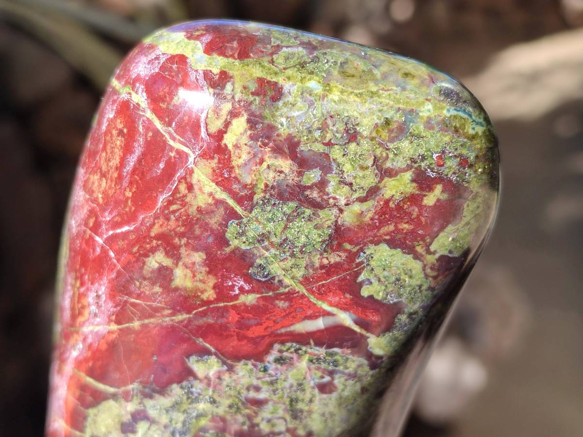 Polished Bastite Dragons Blood Stone Standing Free Forms x 2 From Tshipise, South Africa - Toprock Gemstones and Minerals 