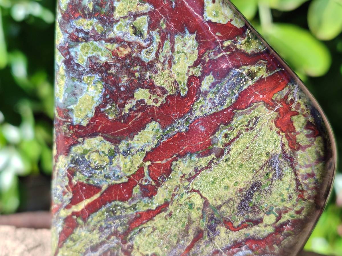 Polished Bastite Dragons Blood Stone Standing Free Forms x 2 From Tshipise, South Africa - Toprock Gemstones and Minerals 