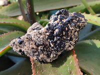 Natural Schorl Black Tourmaline with Smokey Quartz and Orthoclase Matrix Specimens x 2 From Namibia - Toprock Gemstones and Minerals 