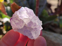 Natural Amethyst Spirit Quartz Clusters x 35 From Boekenhouthoek, South Africa - Toprock Gemstones and Minerals 