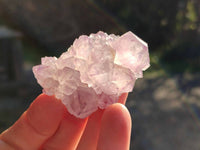 Natural Amethyst Spirit Quartz Clusters x 35 From Boekenhouthoek, South Africa - Toprock Gemstones and Minerals 