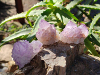 Natural Amethyst Spirit Quartz Clusters x 35 From Boekenhouthoek, South Africa - Toprock Gemstones and Minerals 