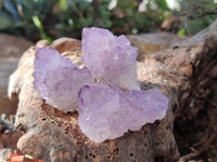 Natural Amethyst Spirit Quartz Clusters x 35 From Boekenhouthoek, South Africa - Toprock Gemstones and Minerals 
