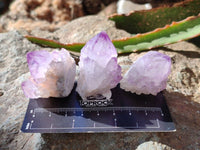 Natural Amethyst Spirit Quartz Clusters x 35 From Boekenhouthoek, South Africa - Toprock Gemstones and Minerals 