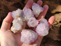 Natural Amethyst Spirit Quartz Clusters x 35 From Boekenhouthoek, South Africa - Toprock Gemstones and Minerals 