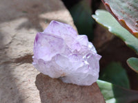 Natural Amethyst Spirit Quartz Clusters x 35 From Boekenhouthoek, South Africa - Toprock Gemstones and Minerals 