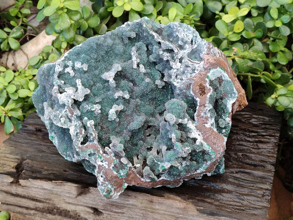 Natural Exquisite Drusy Quartz Coated Ball Malachite Stalactites On Dolomite Matrix Specimen x 1 From Kambove, Congo