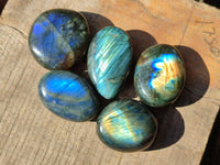 Polished Mix Of Selected Palm Stones x 18 From Madagascar - Toprock Gemstones and Minerals 