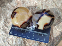 Polished Mix Of Selected Palm Stones x 18 From Madagascar - Toprock Gemstones and Minerals 