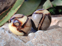 Polished Mix Of Selected Palm Stones x 18 From Madagascar - Toprock Gemstones and Minerals 
