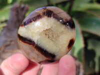Polished Mix Of Selected Palm Stones x 18 From Madagascar - Toprock Gemstones and Minerals 