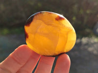 Polished Mix Of Selected Palm Stones x 18 From Madagascar - Toprock Gemstones and Minerals 