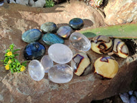 Polished Mix Of Selected Palm Stones x 18 From Madagascar - Toprock Gemstones and Minerals 