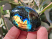 Polished Mix Of Selected Palm Stones x 18 From Madagascar - Toprock Gemstones and Minerals 