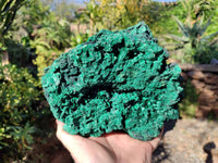 Natural Large Silky Malachite Cabinet Specimen x 1 From Kasompe, Congo - Toprock Gemstones and Minerals 