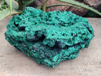 Natural Large Silky Malachite Cabinet Specimen x 1 From Kasompe, Congo - Toprock Gemstones and Minerals 