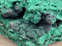 Natural Large Silky Malachite Cabinet Specimen x 1 From Kasompe, Congo - Toprock Gemstones and Minerals 