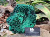 Natural Large Silky Malachite Cabinet Specimen x 1 From Kasompe, Congo - Toprock Gemstones and Minerals 