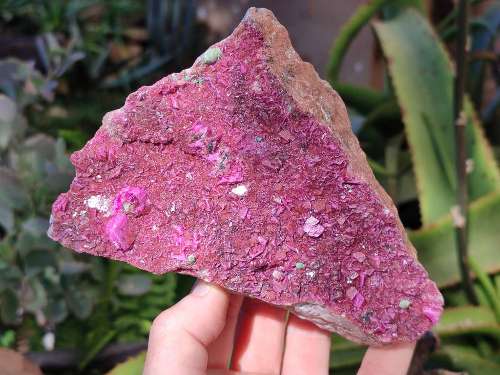 Natural Drusy Salrose on Dolomite Matrix Specimens x 3 From Kakanda, Congo - Toprock Gemstones and Minerals 