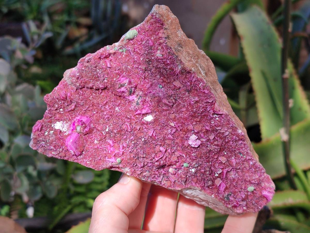 Natural Drusy Salrose on Dolomite Matrix Specimens x 3 From Kakanda, Congo - Toprock Gemstones and Minerals 