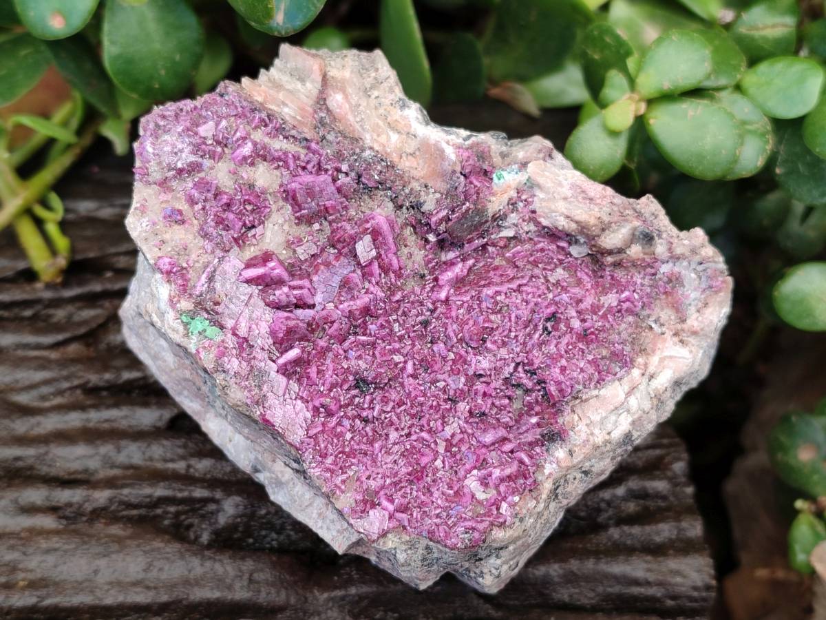 Natural Drusy Salrose on Dolomite Matrix Specimens x 3 From Kakanda, Congo - Toprock Gemstones and Minerals 